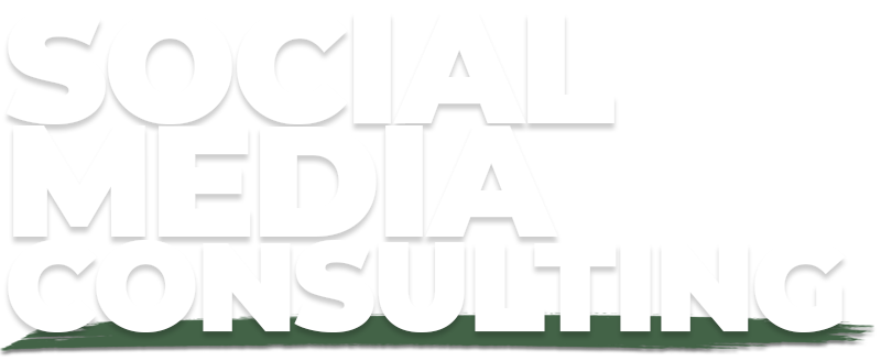 Social Media Constulting with Monitor Media group